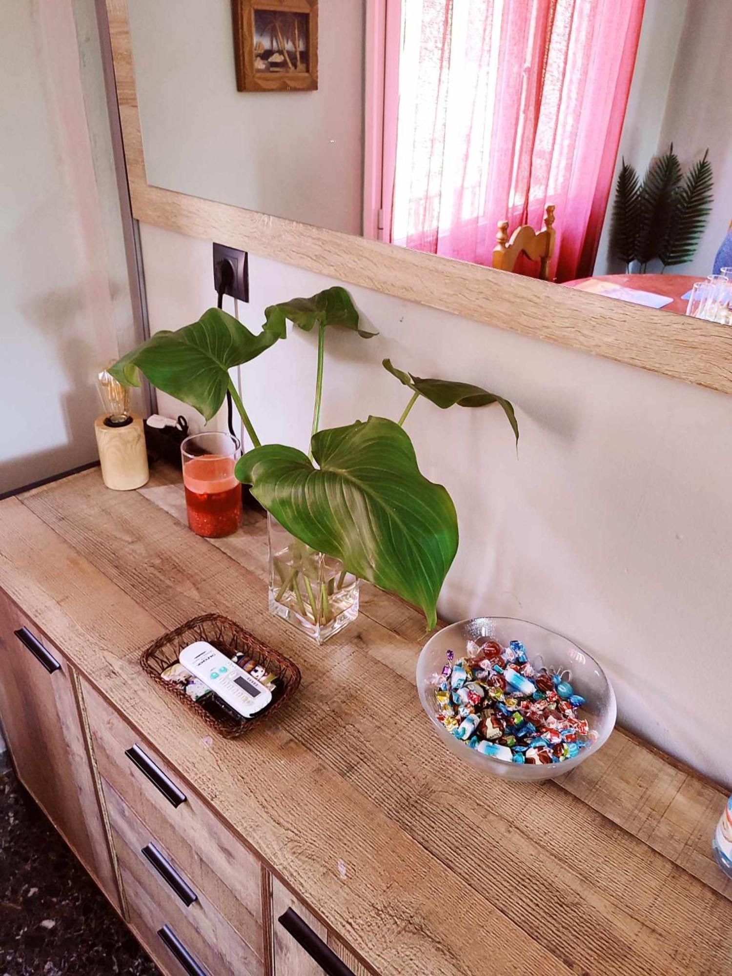 Kato Garouna Tilemachos Houseヴィラ エクステリア 写真